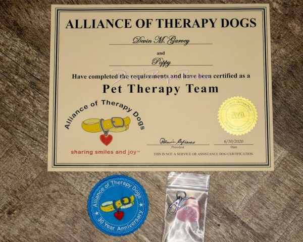 Alliance of Therapy Dogs pet poodles poodle puppy nebraska Devins Purple poodles stud