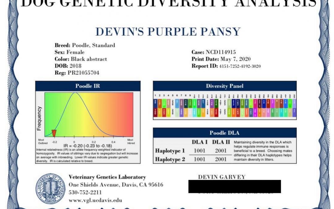 Pansy got news from UC Davis Veterinary Genetics Laboratory!