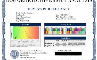 Pansy got news from UC Davis Veterinary Genetics Laboratory!