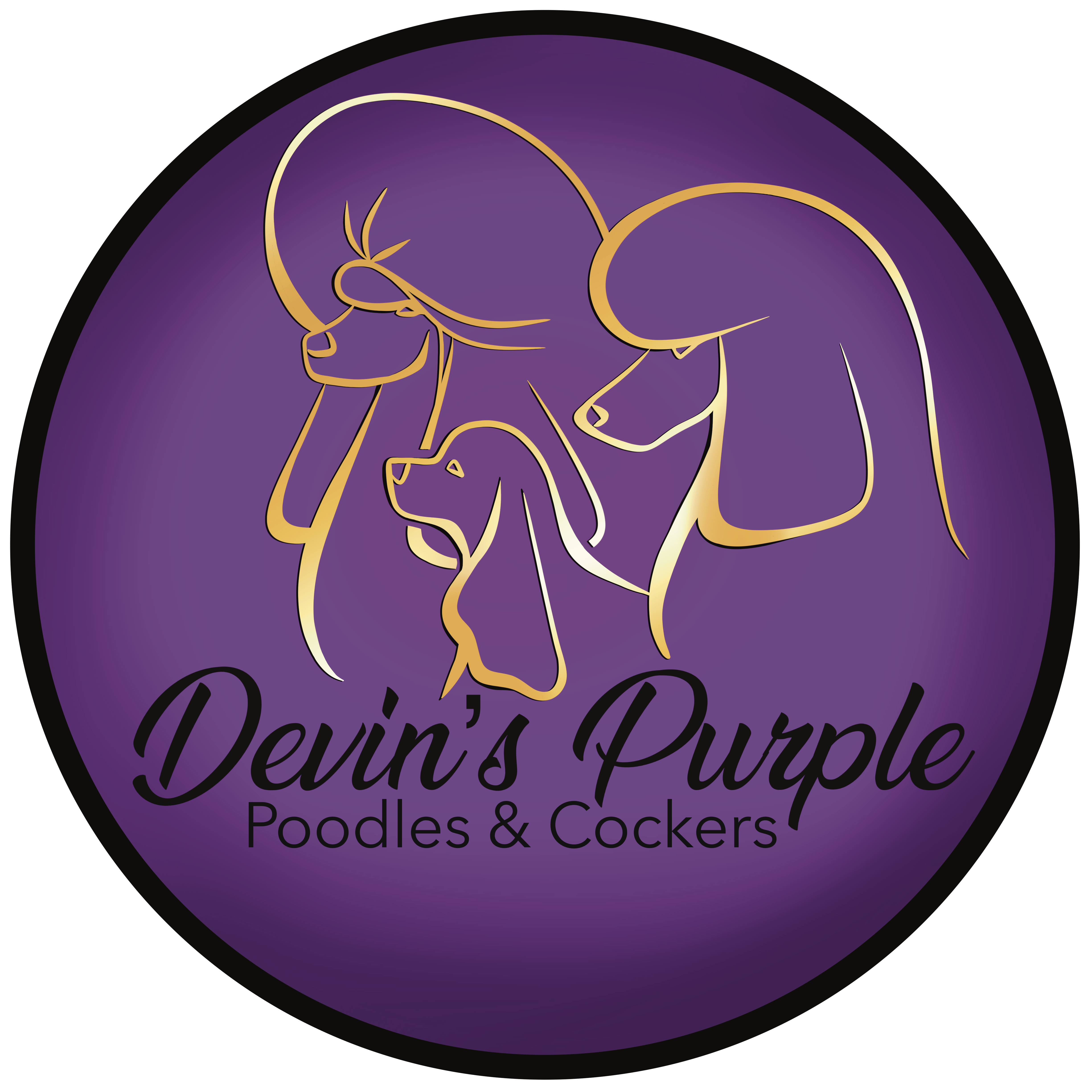 Devin's Purple Poodles & Cockers