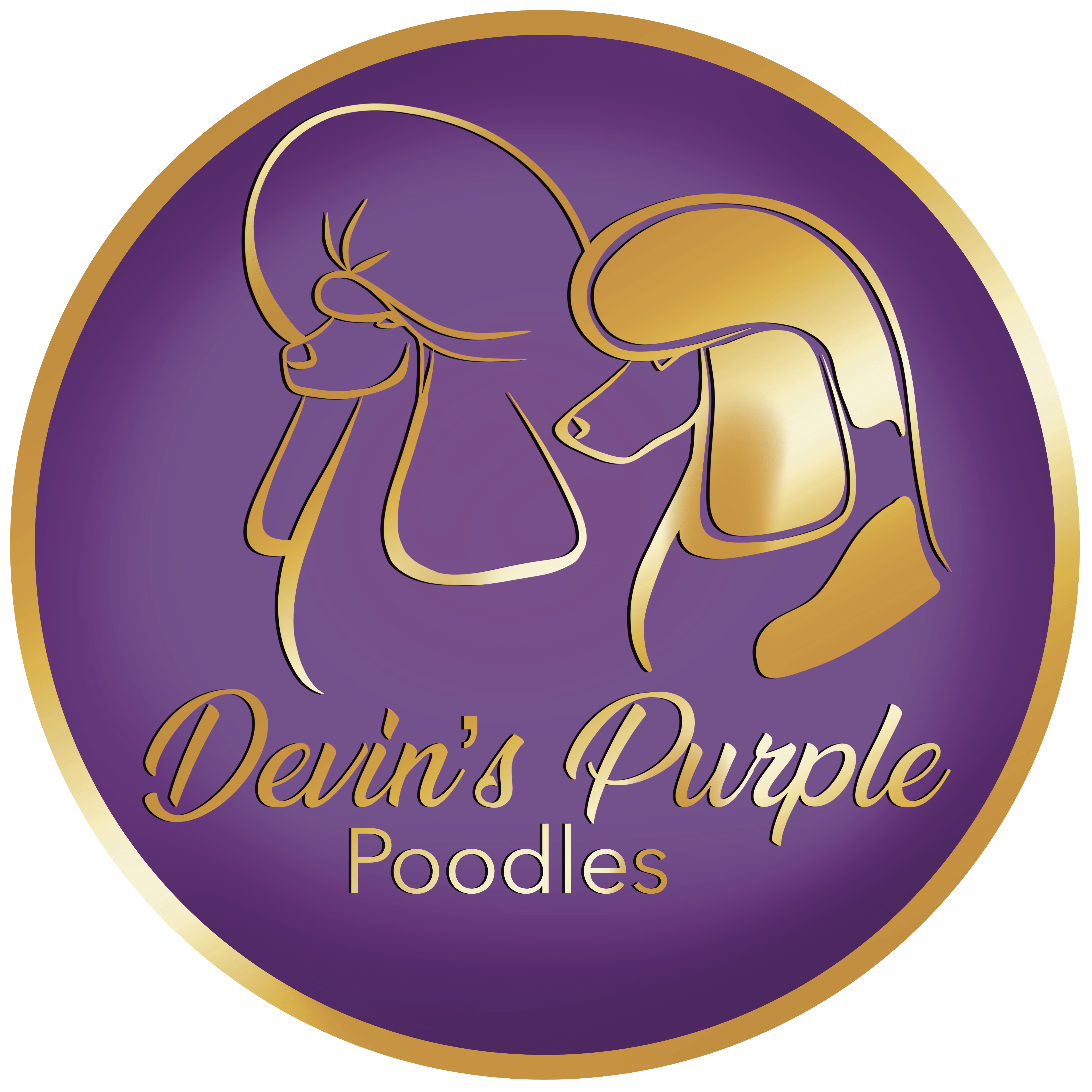 Devin's Purple Poodles