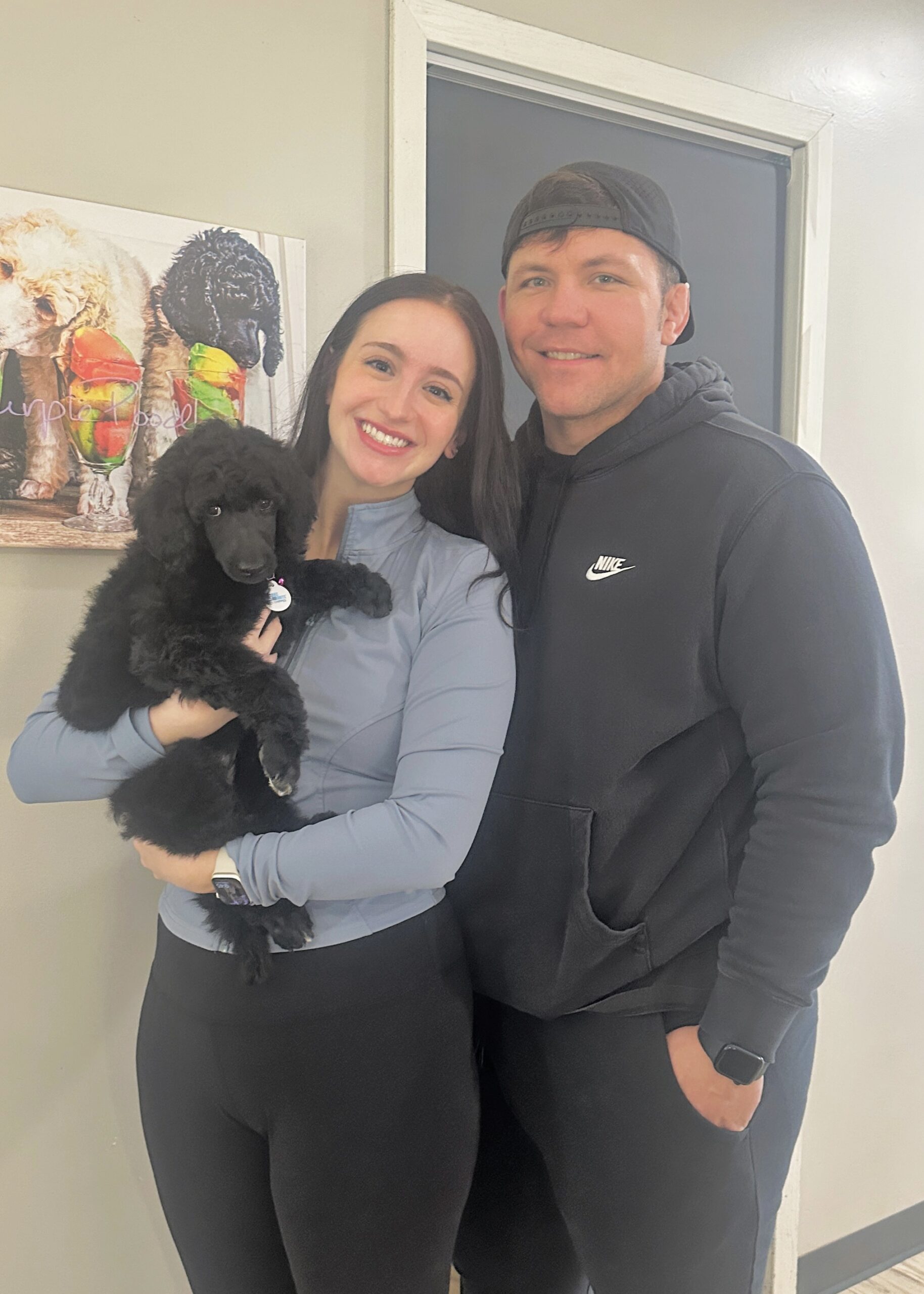 Devins Purple Poodles in Nebraska near Omaha moyen standard mini adults for sale adopt don't shop responsibly black 