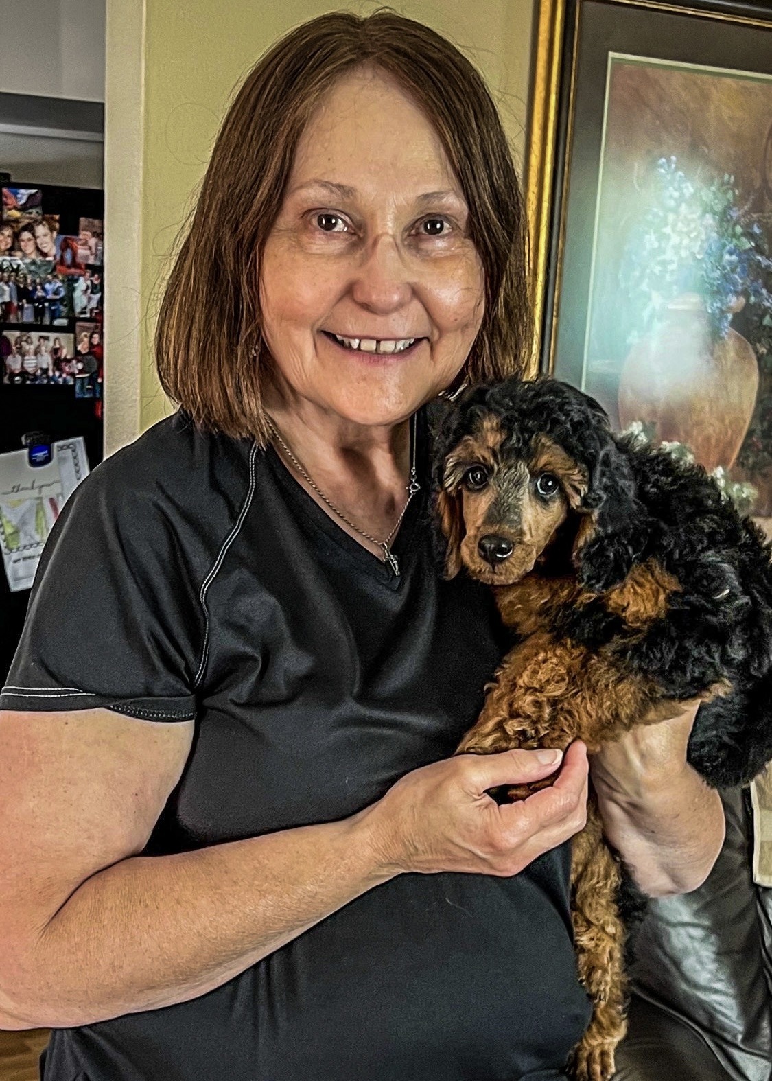 Devins Purple Poodles for sale in Nebraska puppies phantom sable mini small standard 